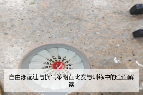 自由泳配速与换气策略在比赛与训练中的全面解读