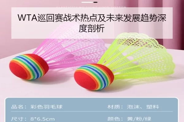 WTA巡回赛战术热点及未来发展趋势深度剖析